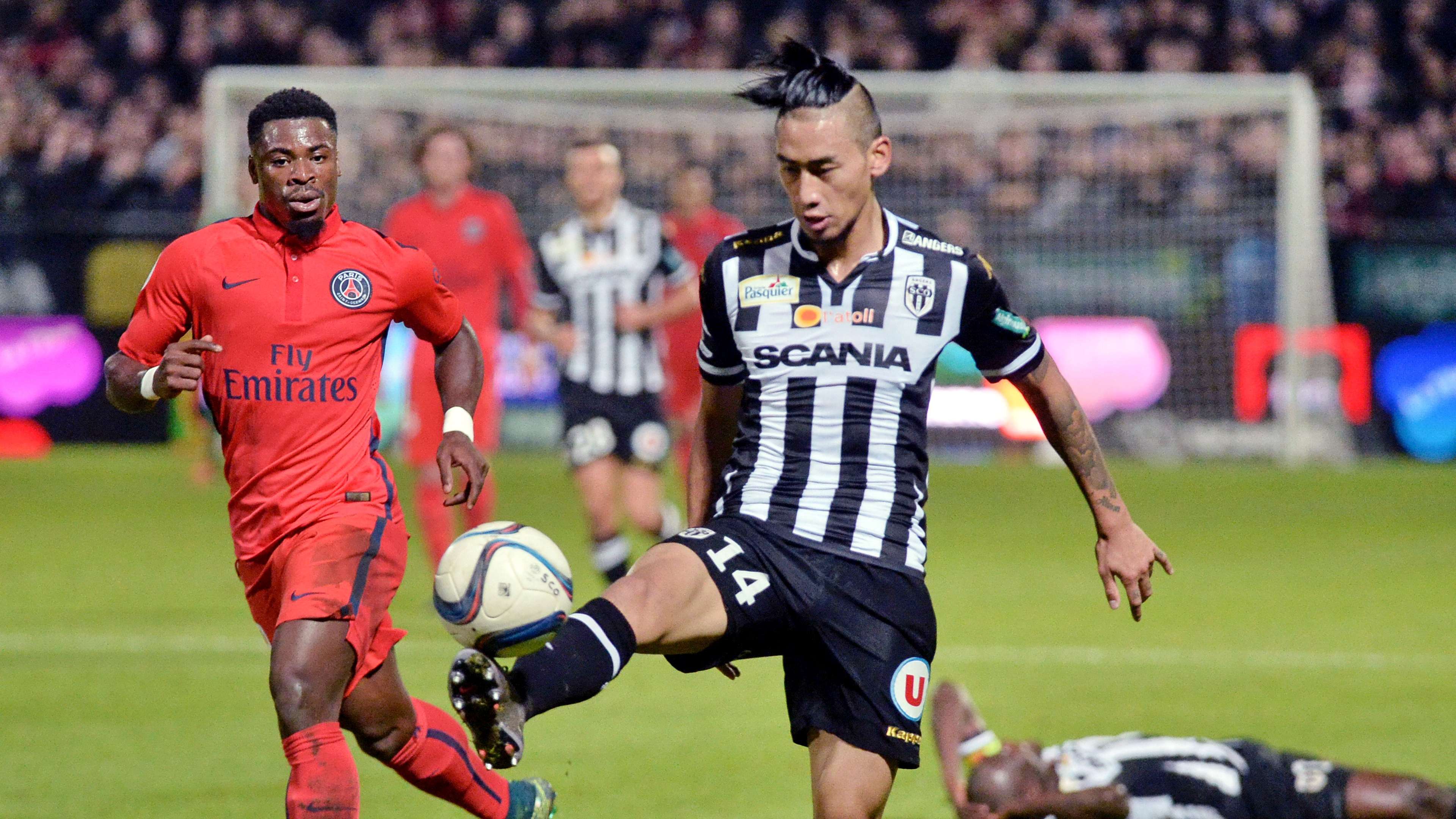 不仅彰显了 不仅彰显了